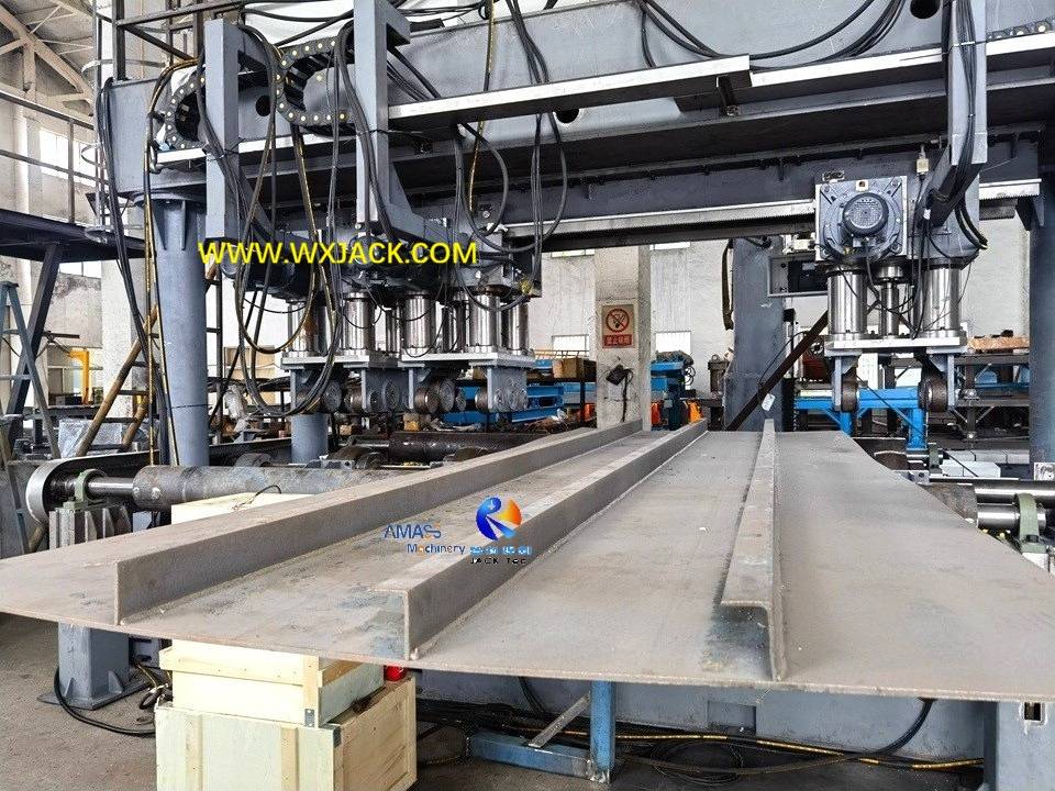 Máquina enderezadora de elementos de placa costal