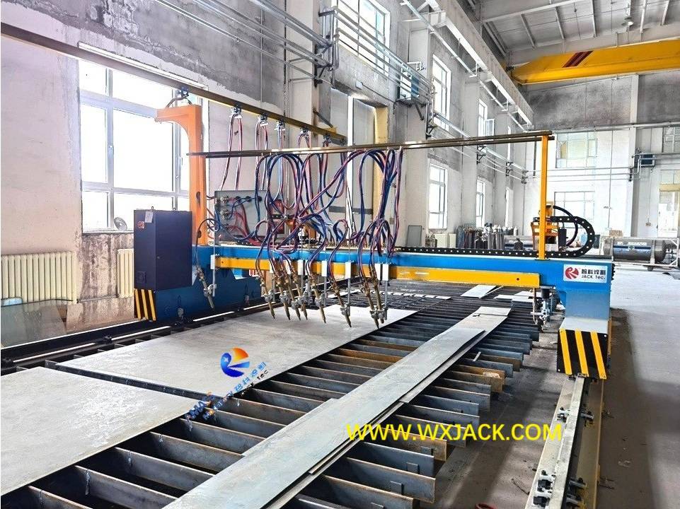 Máquina de corte de placa de tira de alta eficiencia con tamaño flexible